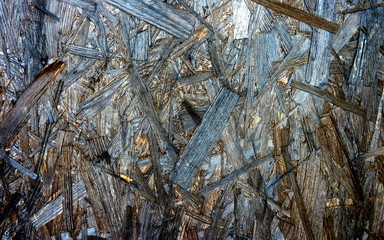 wood plank texture