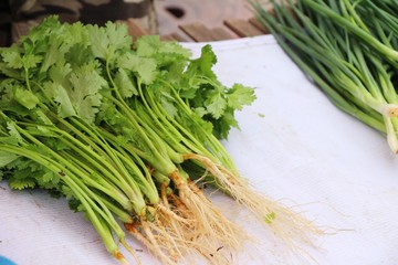 Fresh coriander for cooking in the market