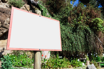 Wooden sign in summer forest, park or garden