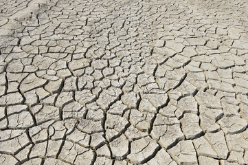 The parched soil