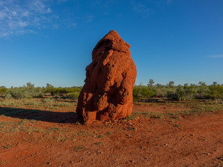 Termite Hill