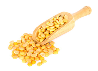 Yellow beans seeds in wood scoop on white background