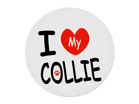 I love my collie