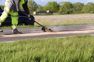 Fototapeta premium Ölspurbeseitigung nach einem Autounfall
