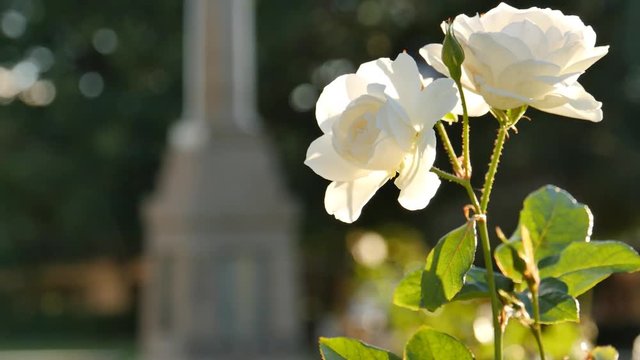 Anzac day commemorative war memorial to fallen soldiers lest we forget