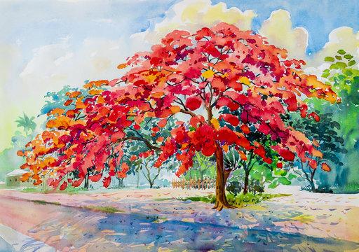 Watercolor landscape original painting  colorful of peacock flowers.