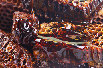 Aroma of the fresh honey presented by the nature