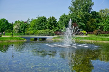 Fountain in the park. Lodz . Beautiful green areas of the city