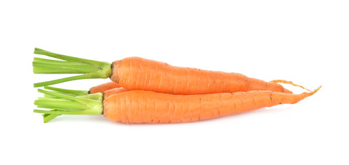 carrot on white background