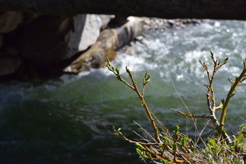 Wasser