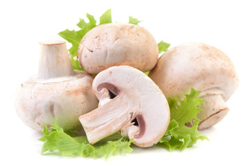 Mushrooms champignon
