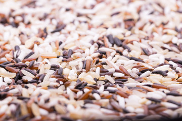 Obraz premium Organic rice, Mixed rice in spoon and Rice texture for background