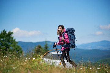 Smiling woman backpacker with backpack and trekking sticks near tent, wearing sports clothes, walking on the top of a hill against blue sky, enjoying sunny day in the mountains.
