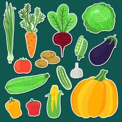 Vector set of bright hand drawing stickers: onion, carrot, beet, peas, cabbage, eggplant, potato, zucchini, pumpkin, pepper, tomato, corn, garlic, cucumber.Fresh food icons. Illustration of vegetables