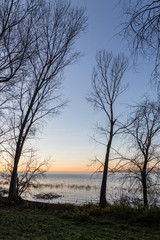 Obraz na płótnie Canvas Bare, naked trees silhouettes at sunset on Trasimeno lake shore (Umbria, Italy)