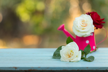 white rose and pink watering-can over wooden table with copy space