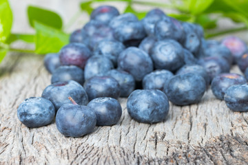 Blueberries in the basket