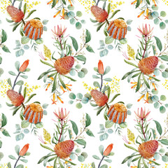 Watercolor australian banksia vector pattern