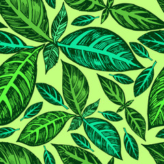 Seamless tropical pals pattern. Exotic leafs. Bright colors