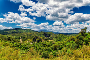 Fototapeta na wymiar Tropical forest of Waimangu Volcanic Valley on a sunny day