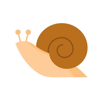 snail icon, flat design vector