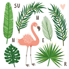 Vector set of palm leaves and flamingo. Bright exotic background with bird. Collection of tropical scrapbook elements.