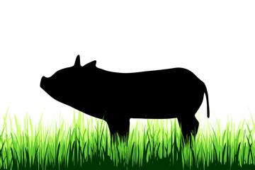 Vector silhouette of pig on a meadow on white background.