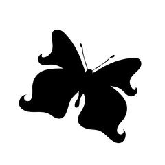 Vector illustration of butterfly on white background.