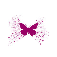 Vector illustration of butterfly on white background.