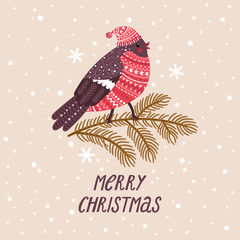 Vector winter background with cute bullfinch in hat and sweater. Holiday poster with cartoon character and text 