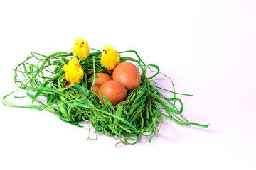 eggs and chickens in a green nest
