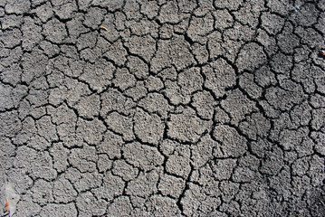Dry ground cracked texture, horizontal background top view