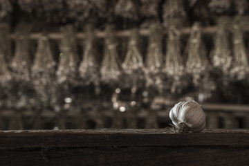Garlic Cloves and Garlic Bulb on vintage wood background.