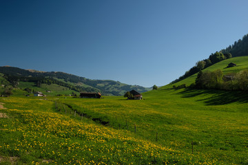 Fototapeta na wymiar natural landscape in Switzerland