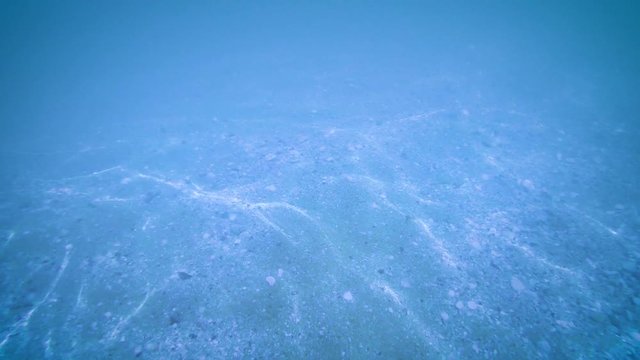 Beautiful transparent sea. 4K Video