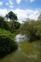 Fluss auf Kuba, Karibik