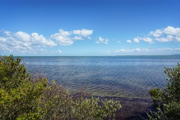 Cayo Coco auf Kuba, Karibik