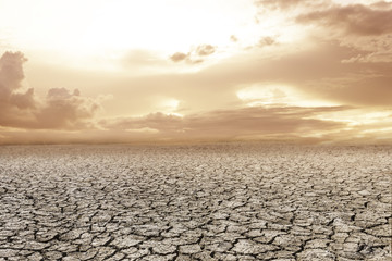 Dry  field in sunset over dark cloud