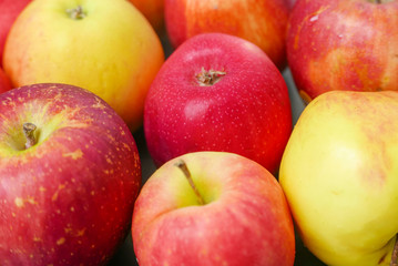 Naklejka na ściany i meble a variety of red, yellow and green apples