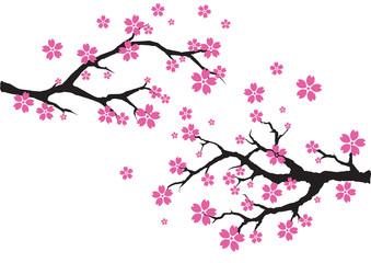 Sakura tree