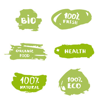 Set of handwritten organic, bio, eco lettering.  Vector illustration.