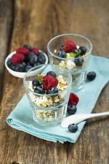 Low calorie dessert with cottage cheese, oats and berries