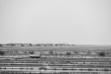 Monochrome image of Natural Park Secovlje