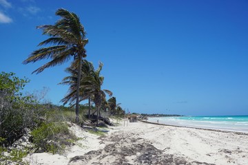 Strand auf Kuba, Cayo Coco