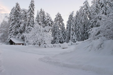 Fototapeta premium Winter in Tirol