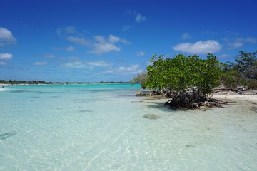 Strand mit Mangroven auf Cayo Coco, Jardines Del Rey, Kuba