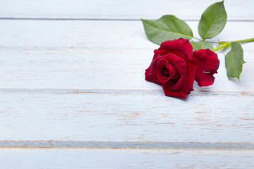 Red roses on wooden board background with copy space