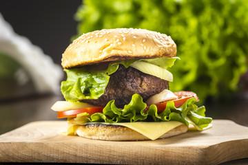 homemade burger with cheese