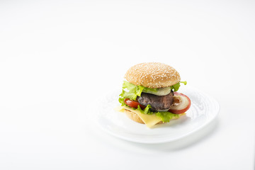 homemade burger with cheese