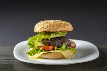 homemade burger with cheese